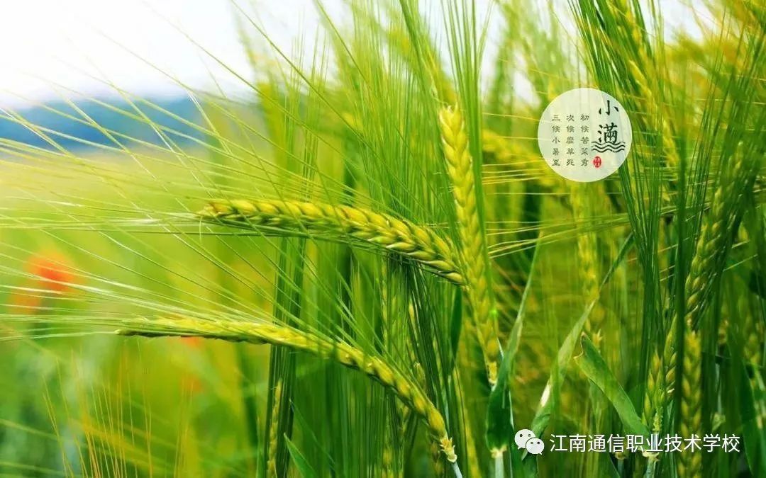 岳陽市江南通信職業(yè)技術(shù)學校,岳陽江南學校,岳陽江南通信學校,岳陽職業(yè)學校 岳陽市江南通信職業(yè)技術(shù)學校,岳陽江南學校,岳陽江南通信學校,岳陽職業(yè)學校